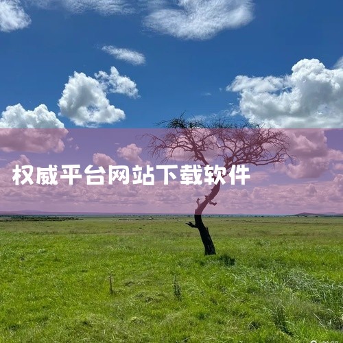 以下是一些比较安全的软件下载网站：天空软件站：以其丰富的软件资源和良好的用户口碑，成为众多用户首选。华军软件园：拥有海量、更新快速的软件资源，其安全性同样得到广泛认可。太平洋软件下载平台：提供多样化的,