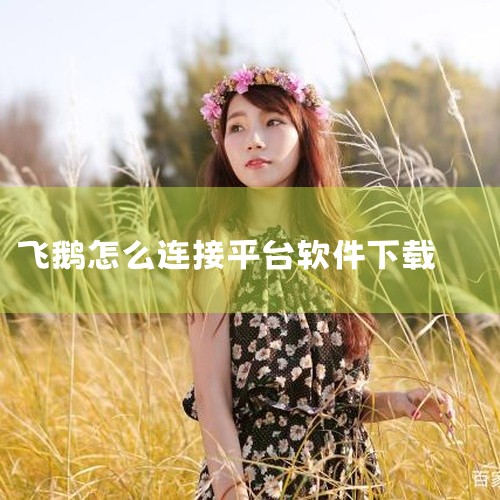 该连接方法如下：可以使用飞鹅打印机的官方软件"飞鹅云打印"来连接飞鹅打印机。该软件支持多种平台，包括Windows、Mac OS、Android和iOS等。可以在飞鹅打印机的官网上下载相应的软件版本，,