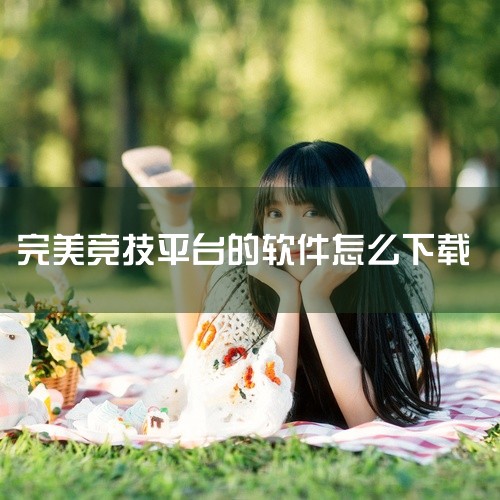 打开浏览器，输入https://pvp.wanmei.com/，这是完美世界竞技平台的官方网站。导航至下载页面：在官网首页，通常会有明显的“下载”按钮或链接。点击该按钮或链接，进入下载页面。注意：如果|