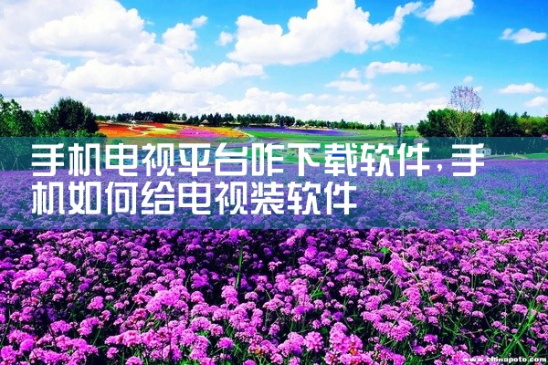 手机电视平台咋下载软件
