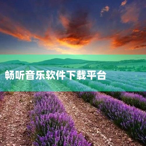 《畅听音乐免费下载》汇集了众多热门流行歌曲与经典怀旧金曲,涵盖华语、欧美、日韩等多个语种流派。音质方面提供标准与高保真两种选择,满足不同听感需求。专辑封面精美,曲目列表完整,附带歌词同步显示功能,让聆,