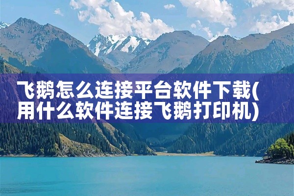 飞鹅怎么连接平台软件下载